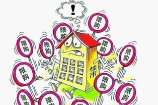 冠贏十三水充值代理詳解